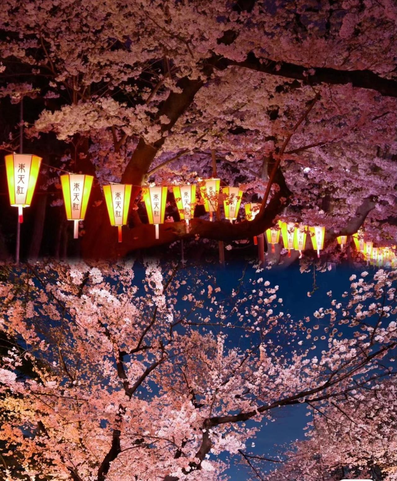 Ueno Iriya Aparthotel Tokio